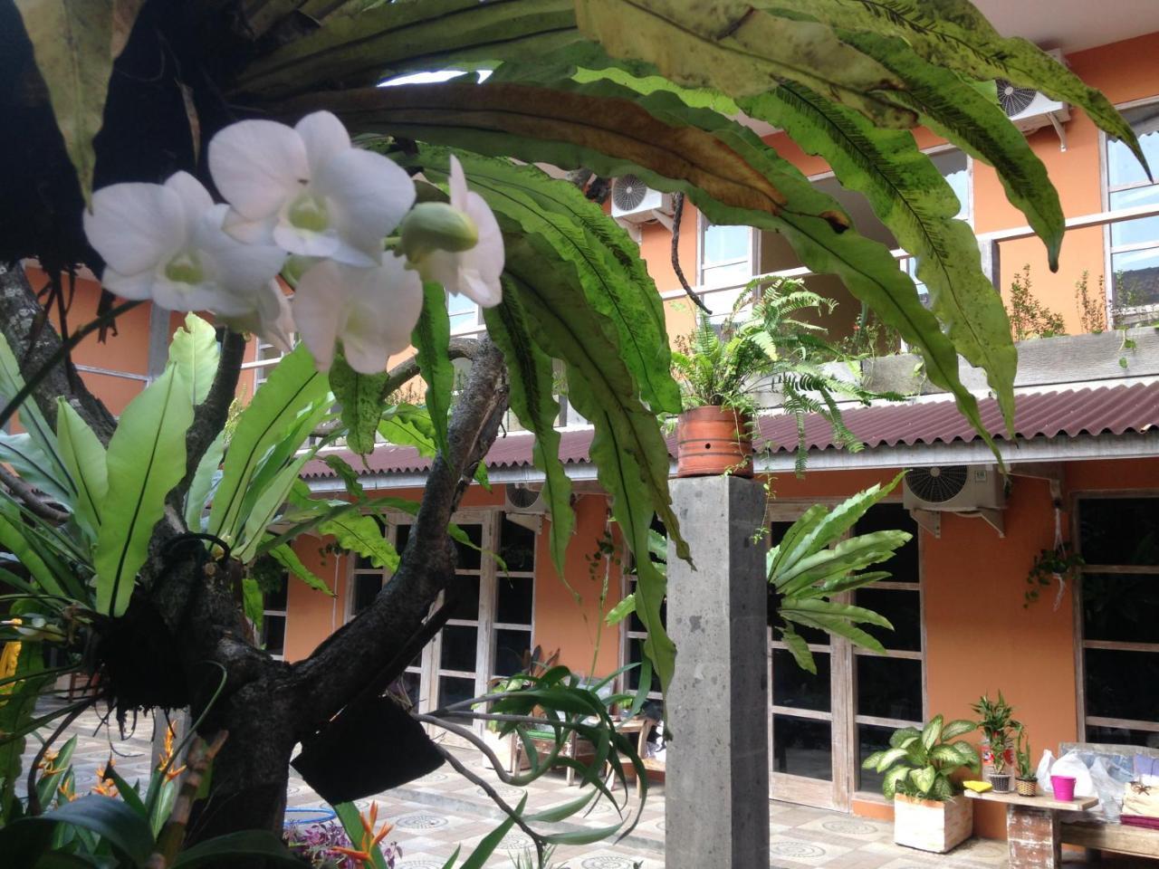 Canggu Pinpoint Rooms Esterno foto